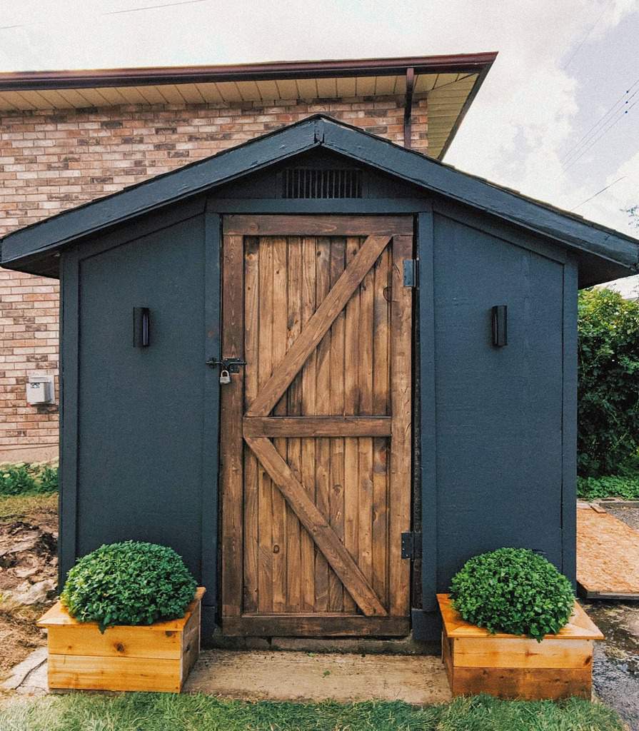 A small, dark-painted shed with a wooden door, flanked by two potted shrubs, stands against a brick building backdrop