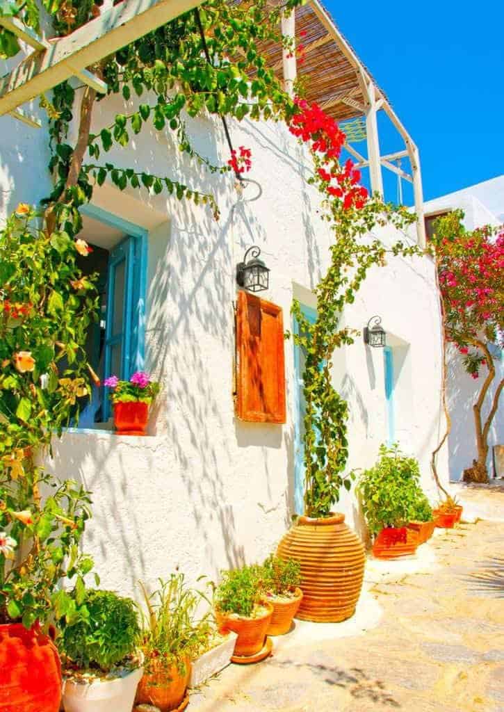 Old-Fashioned Mediterranean House Surrounded With Plants 