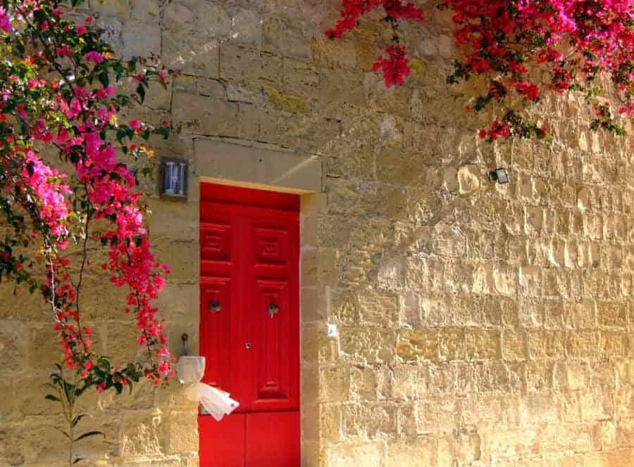 Old-Fashioned Mediterranean House With Red Door Surrounded With Plants 