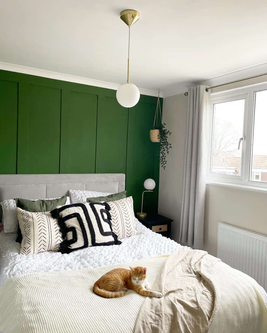 Bedroom with green wall and cat on the bed