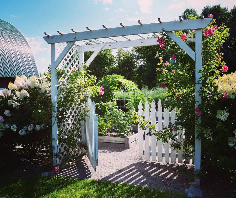 White garden arbor with pink flowers and picket gate