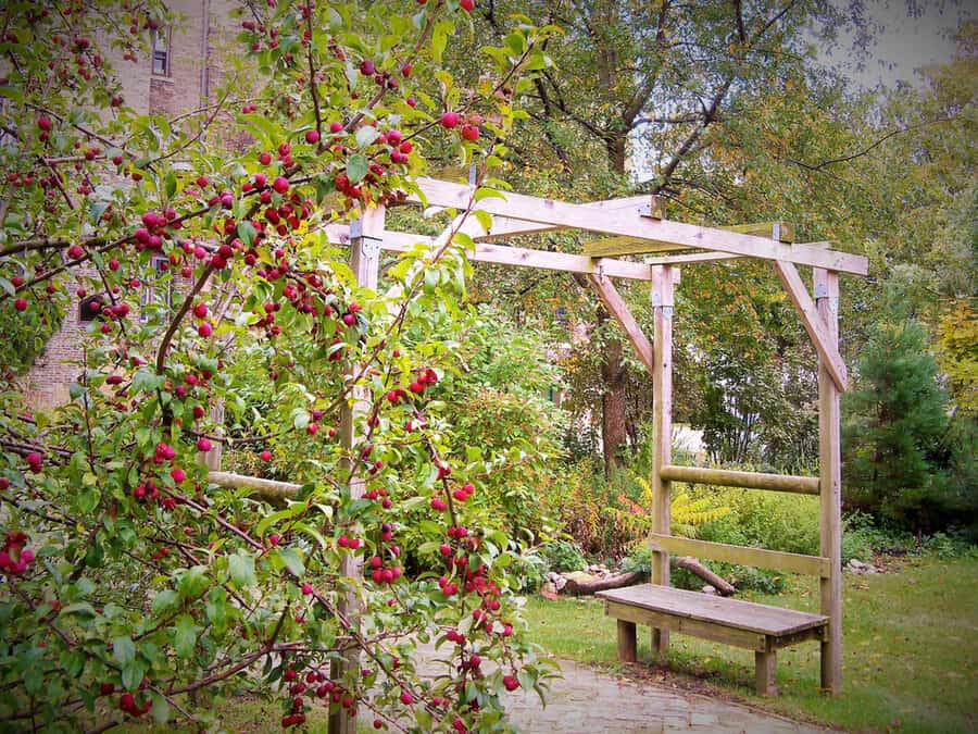 Wooden arbor with red berries and garden bench