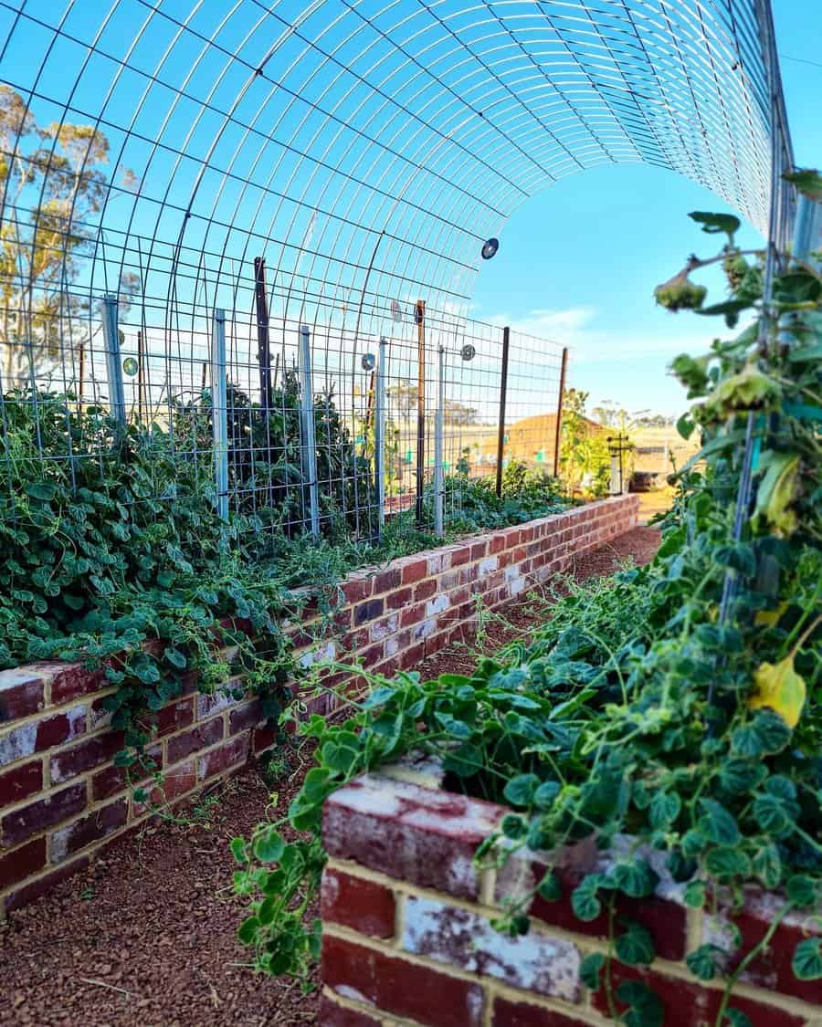 Garden arch trellis with climbing plants over brick path