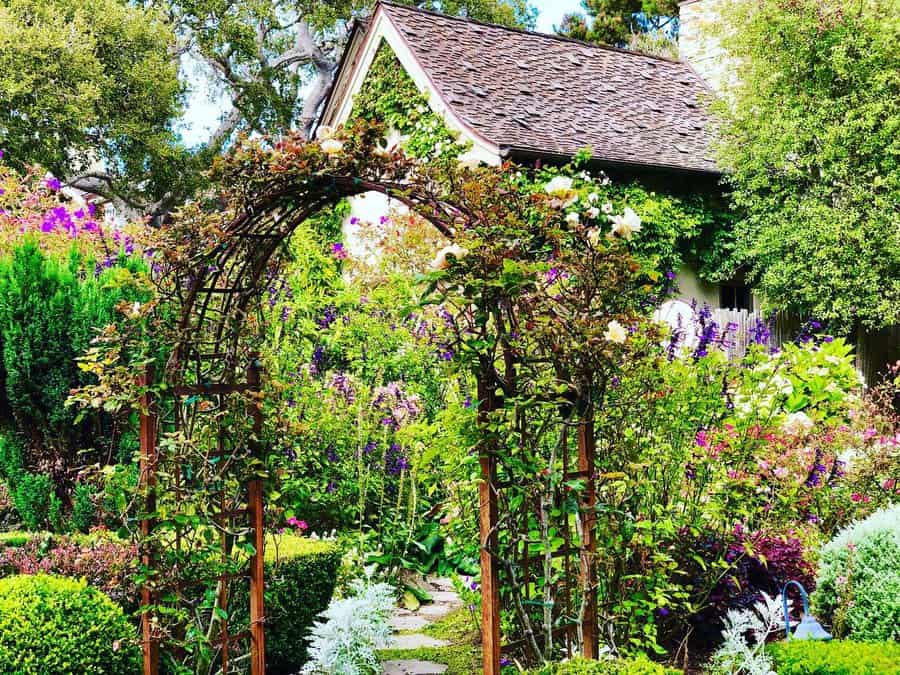 Floral garden archway in vibrant bloom