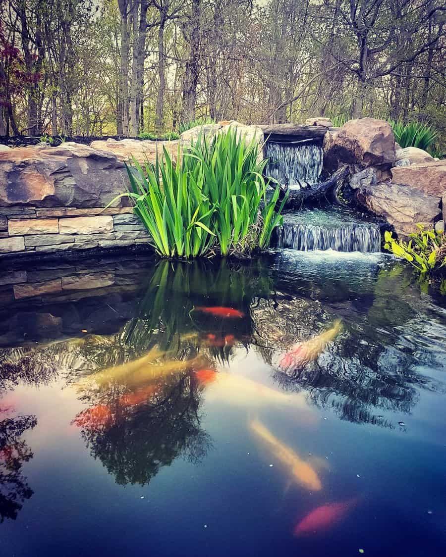 zen garden with koi pond