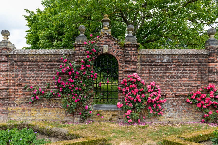 Exposed brick garden wall