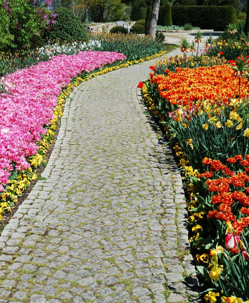 Cobblestone pathway