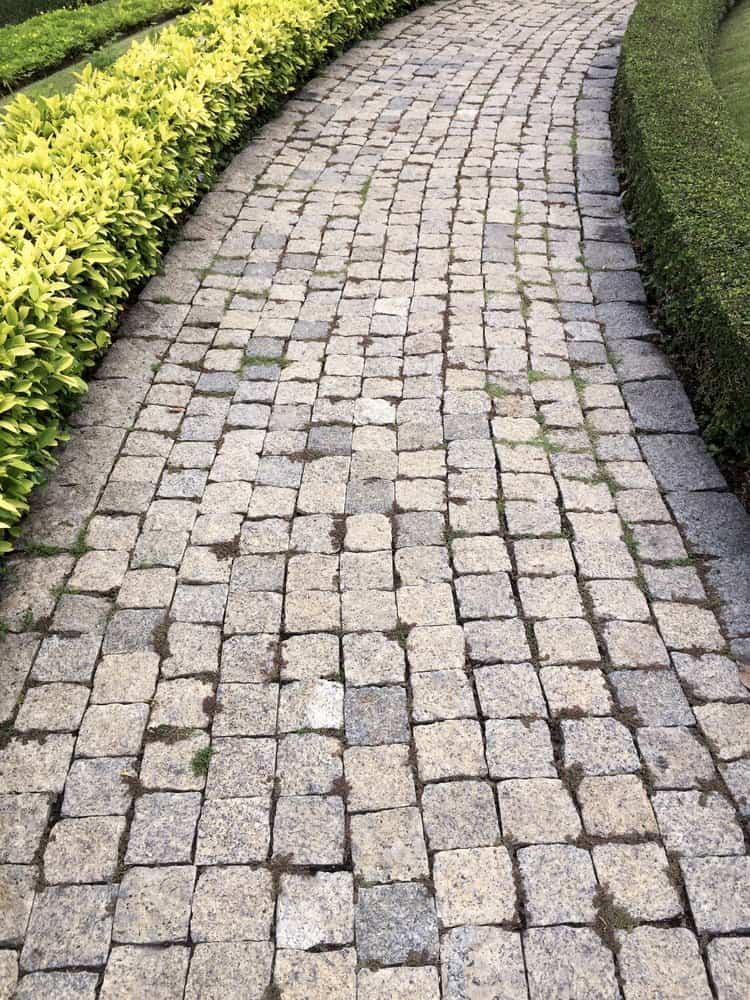 Cobblestone pathway