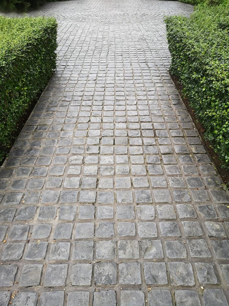 Cobblestone pathway