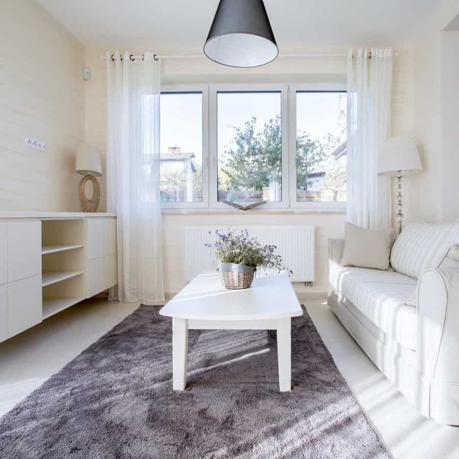 White living room with gray rug