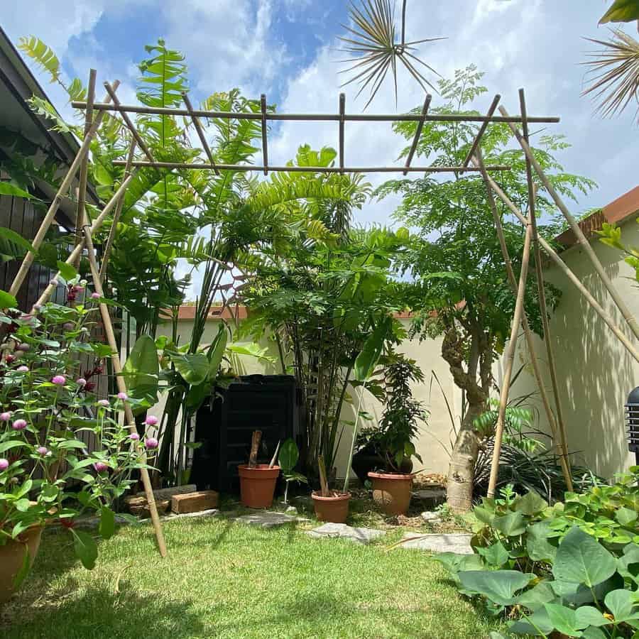 Bamboo trellis in tropical home garden setting