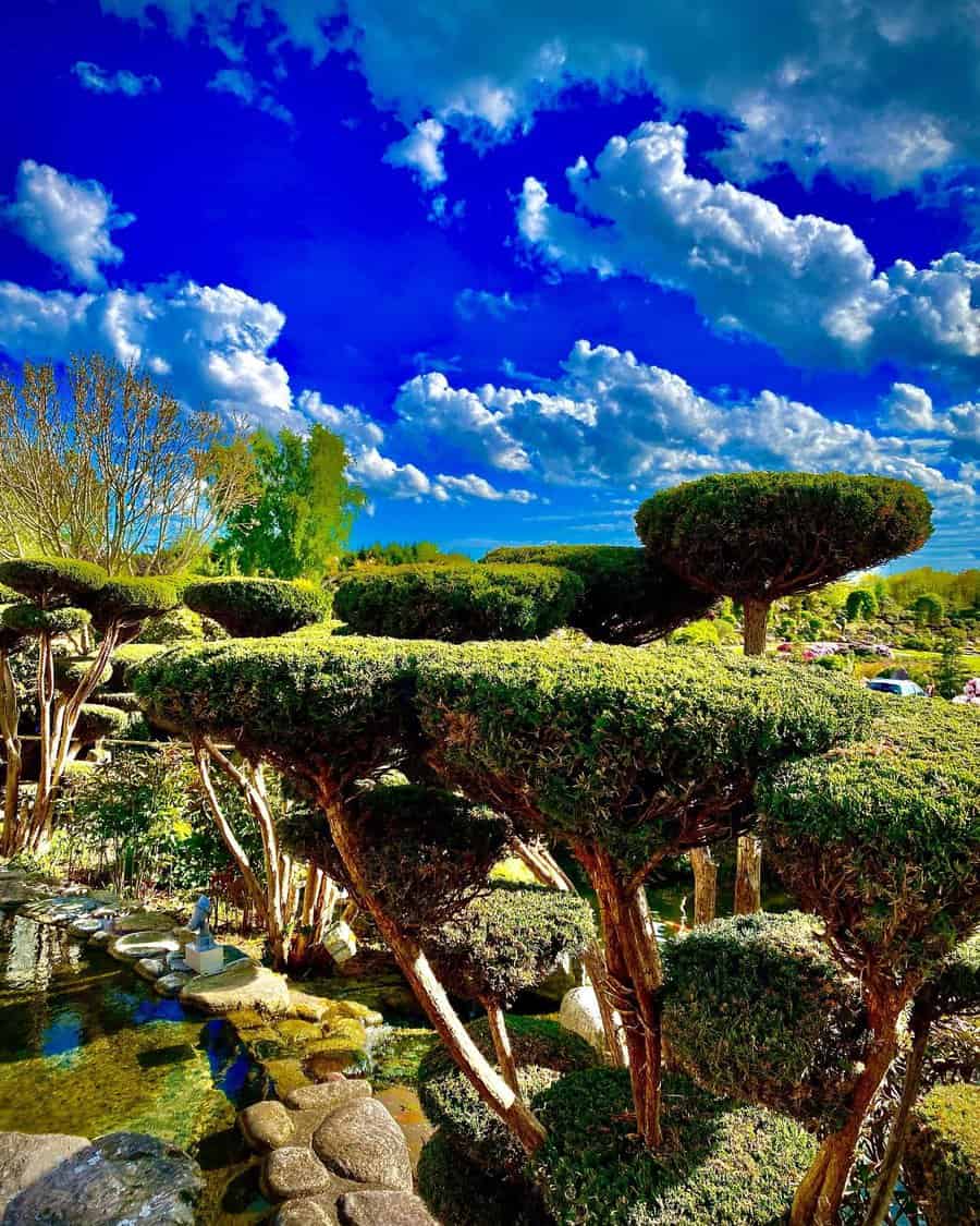 zen garden with cloud trimmings