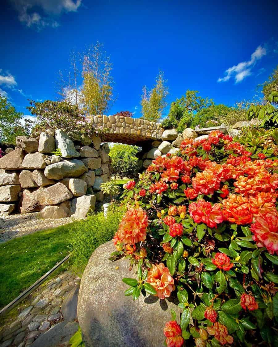 zen garden with flowers