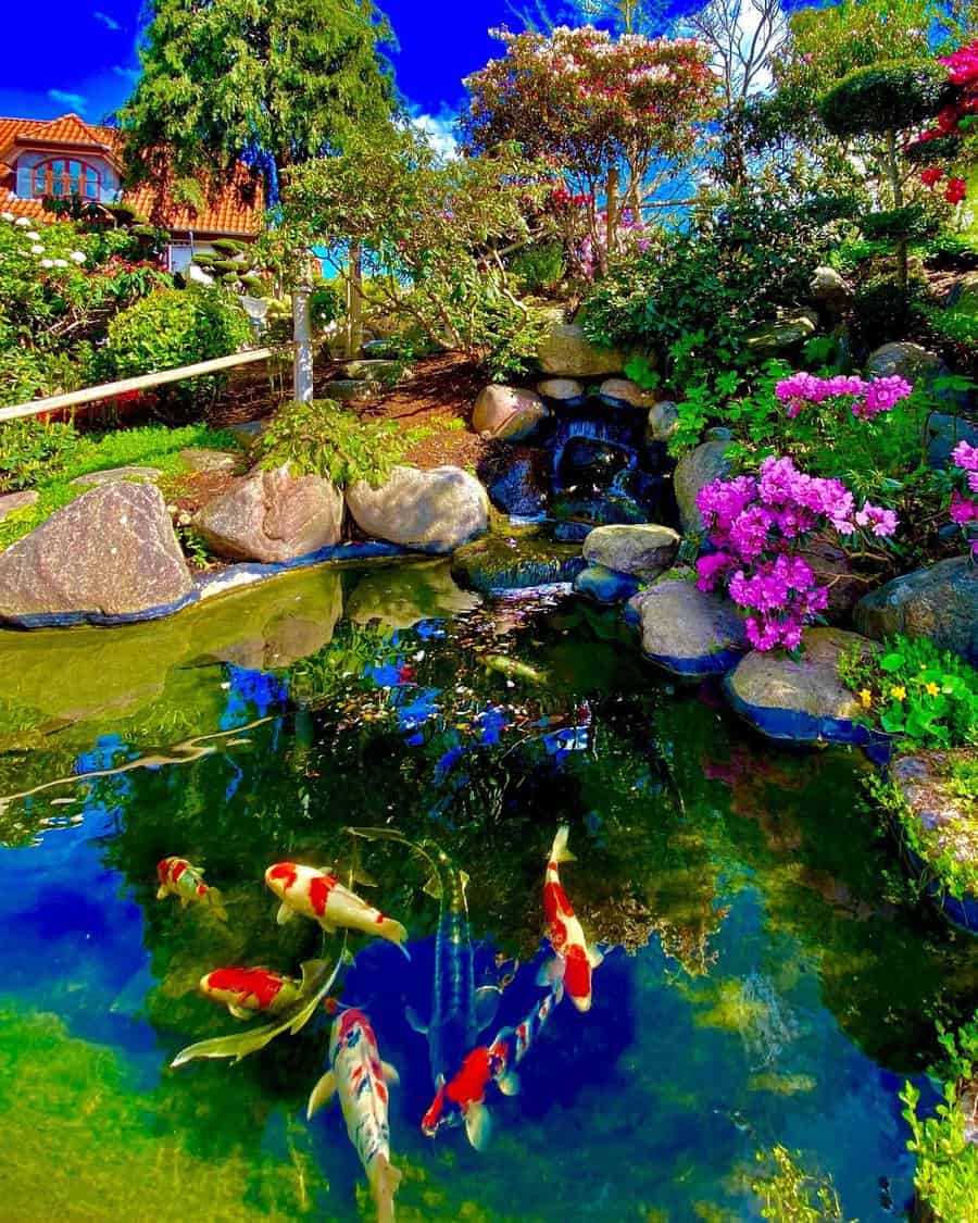 zen garden with koi pond