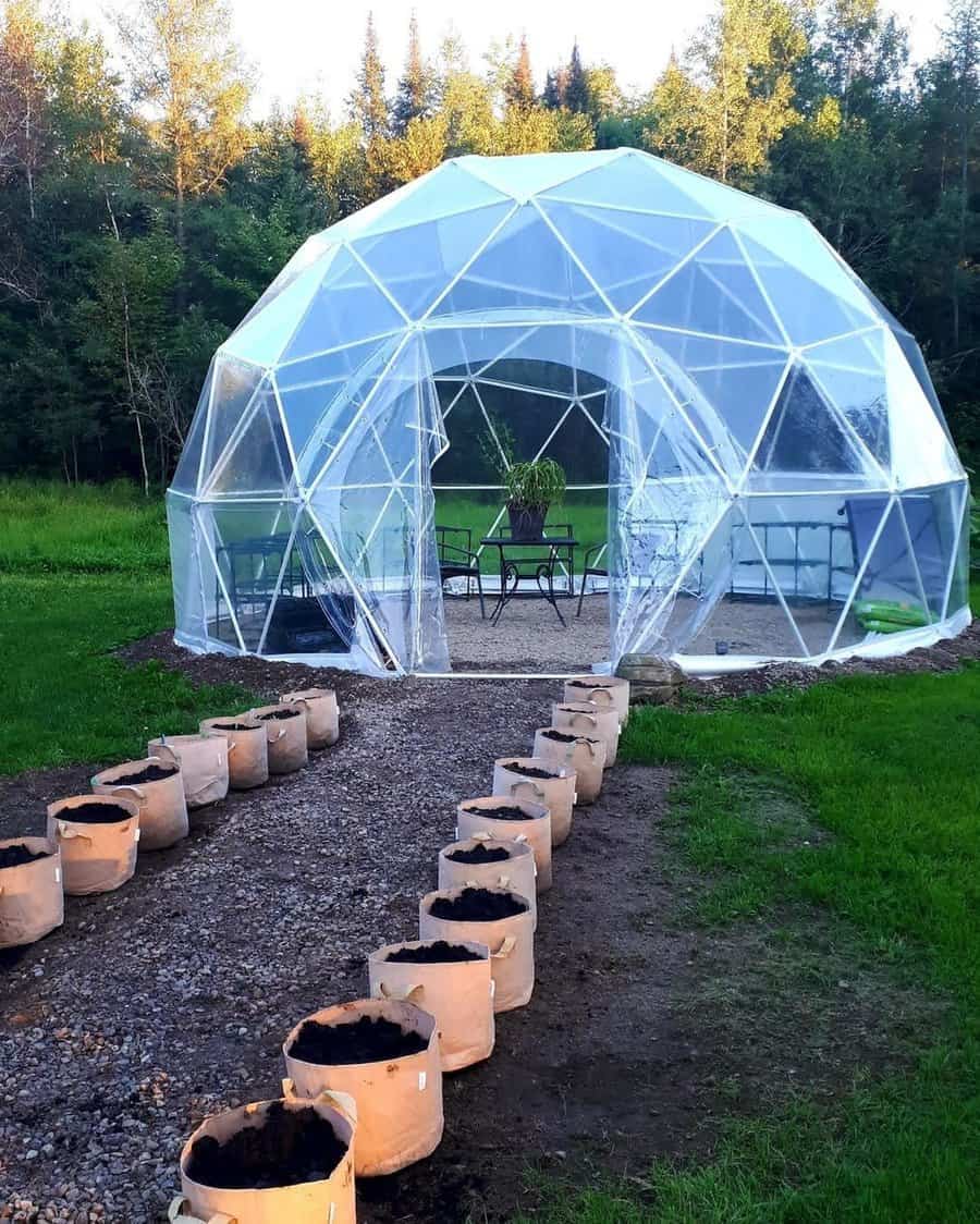 Spacious geodesic dome greenhouse with path and potted plants