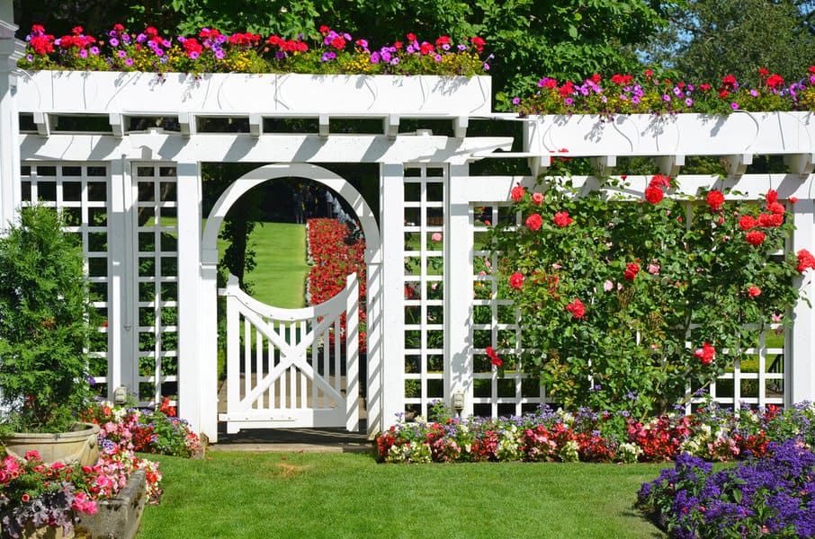 White garden arbor with gate and climbing roses