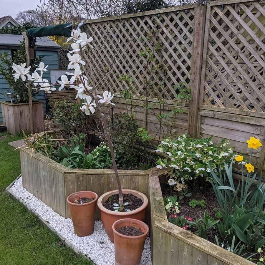 Garden corner with lattice trellis and spring flowers