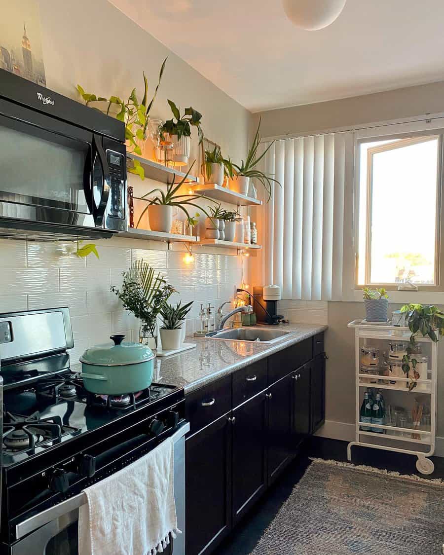 Cozy kitchen with black cabinetry and plant shelves