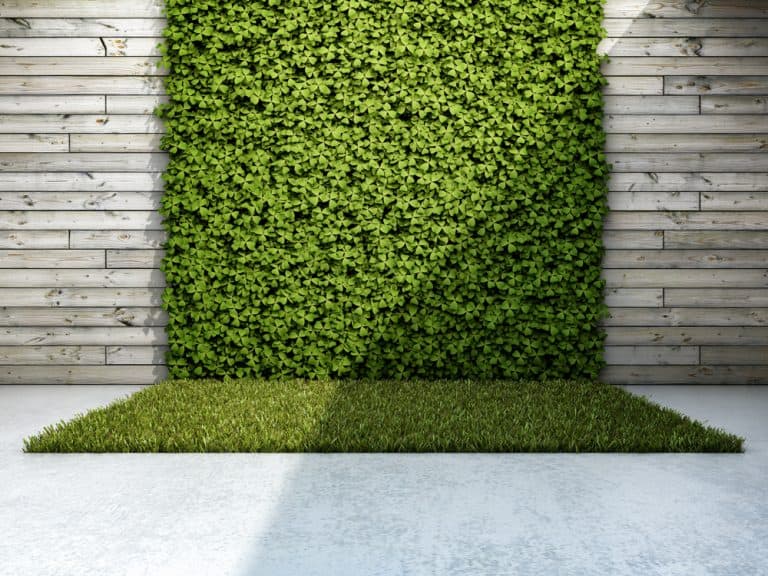 14 Garden Wall Ideas for Your Landscape