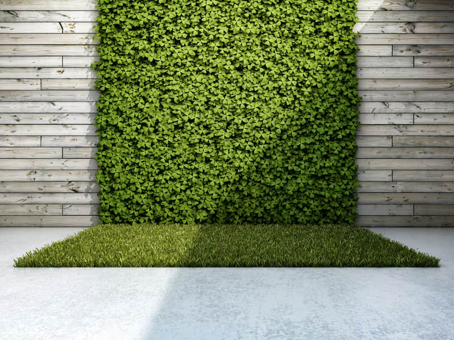 garden wall with artificial grass 