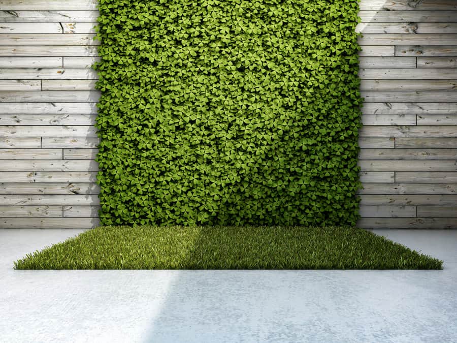 Garden wall with artificial grass 