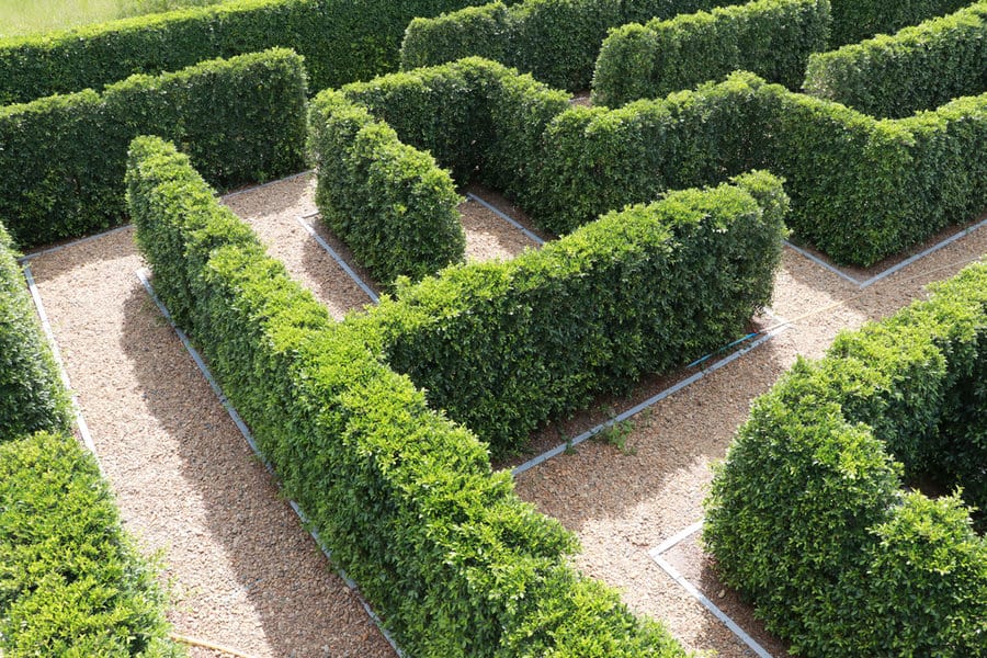 Garden wall with artificial grass 