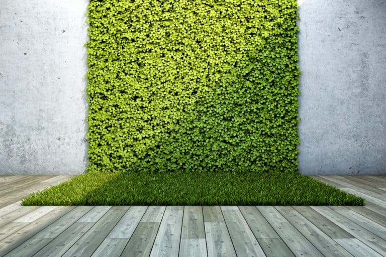 14 Garden Wall Ideas for Your Landscape