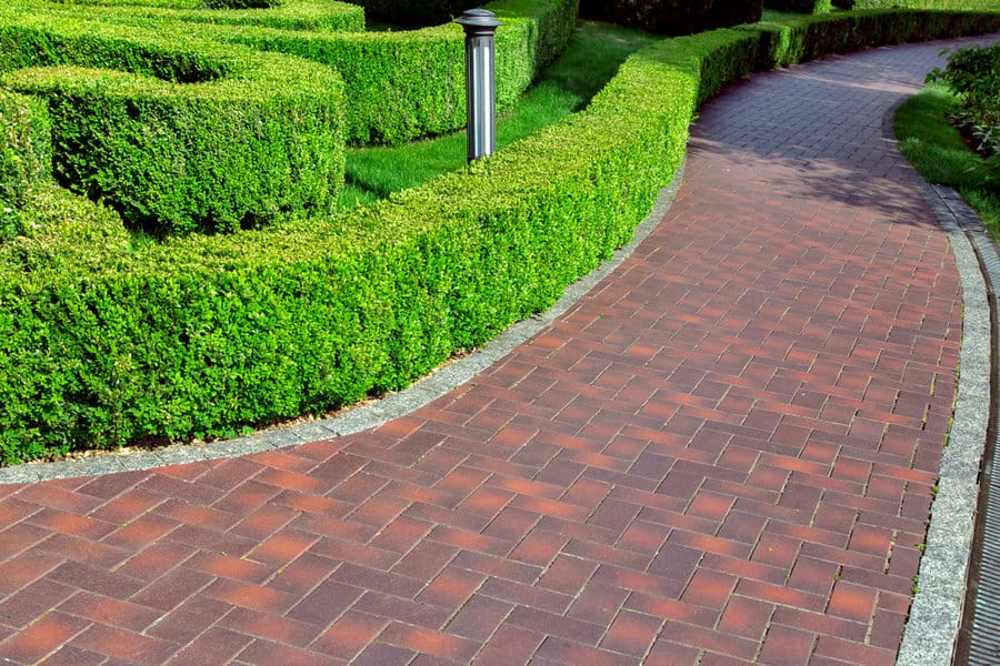 Hedge pathway