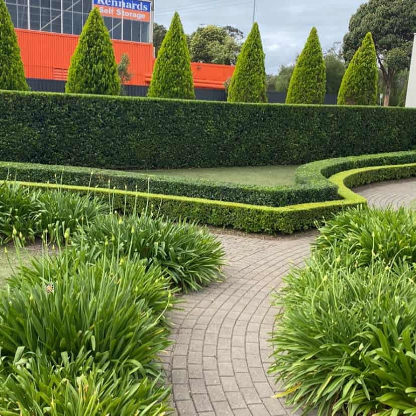 Hedge Sidewalk Ideas defining gardens