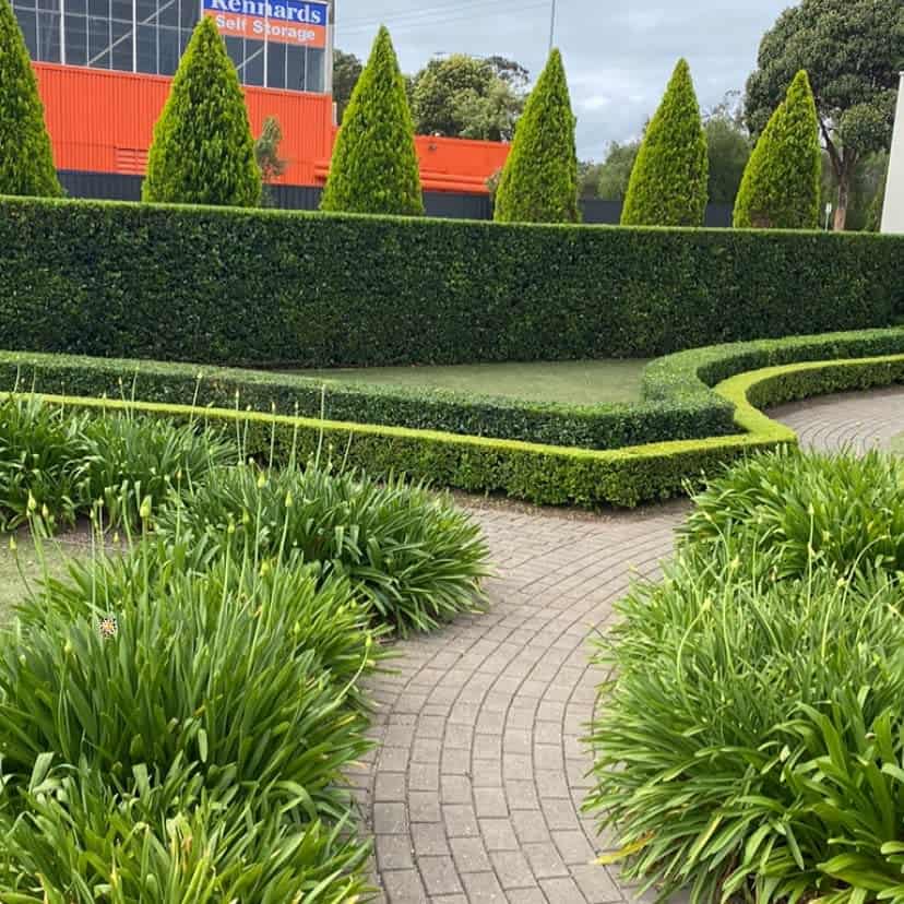 Hedge pathway