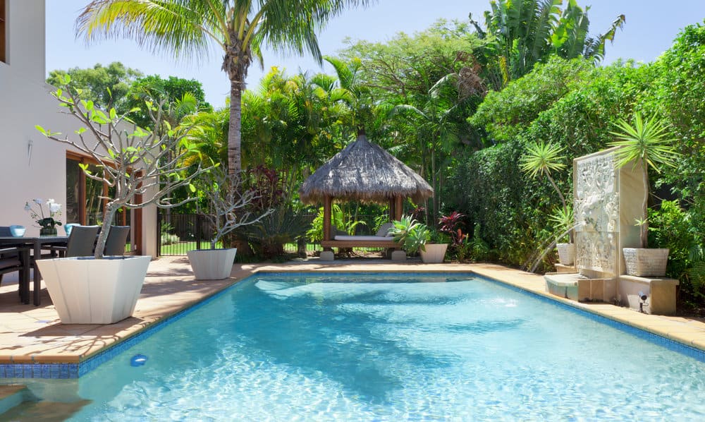 Tropical backyard with pool and hut