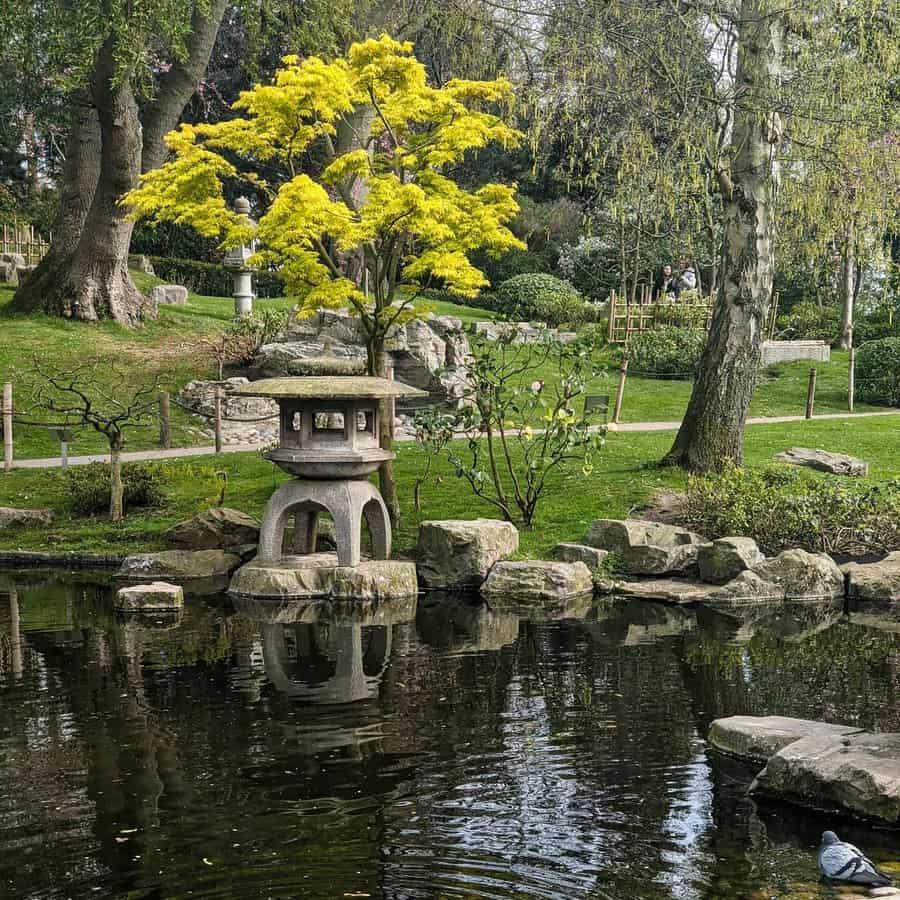zen garden with evergreens and pond