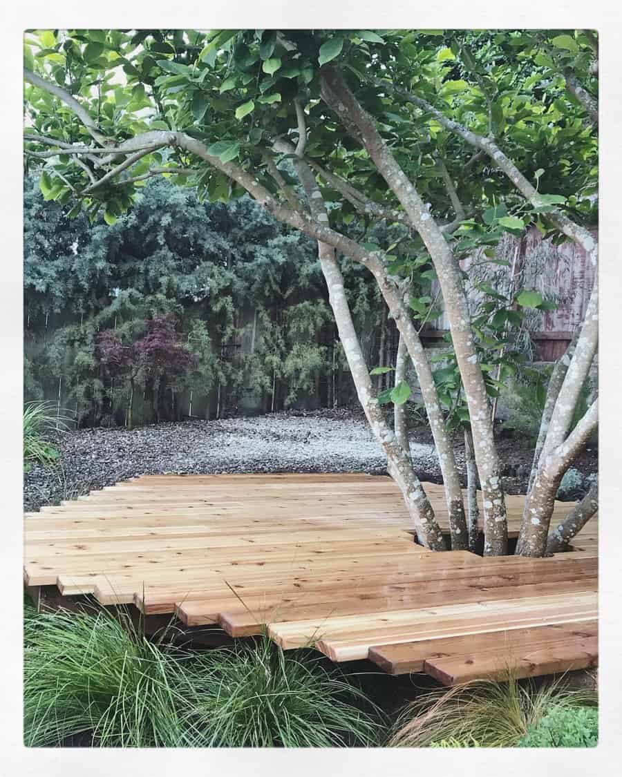 floating deck around a tree