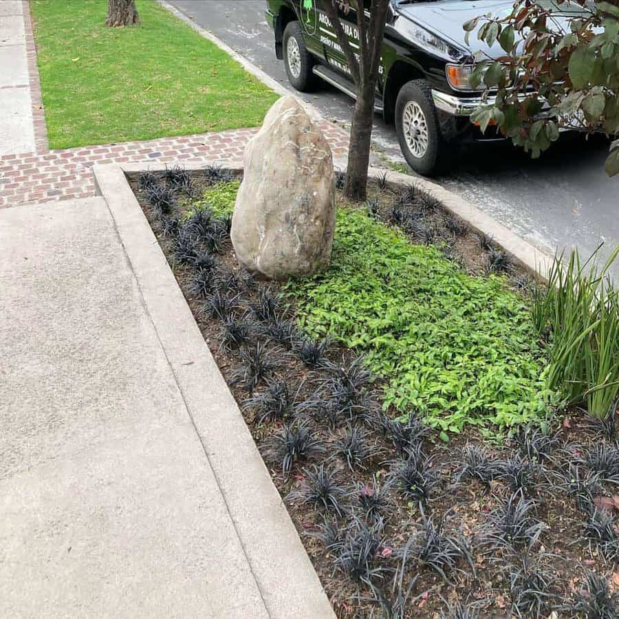 Sidewalk landscaping