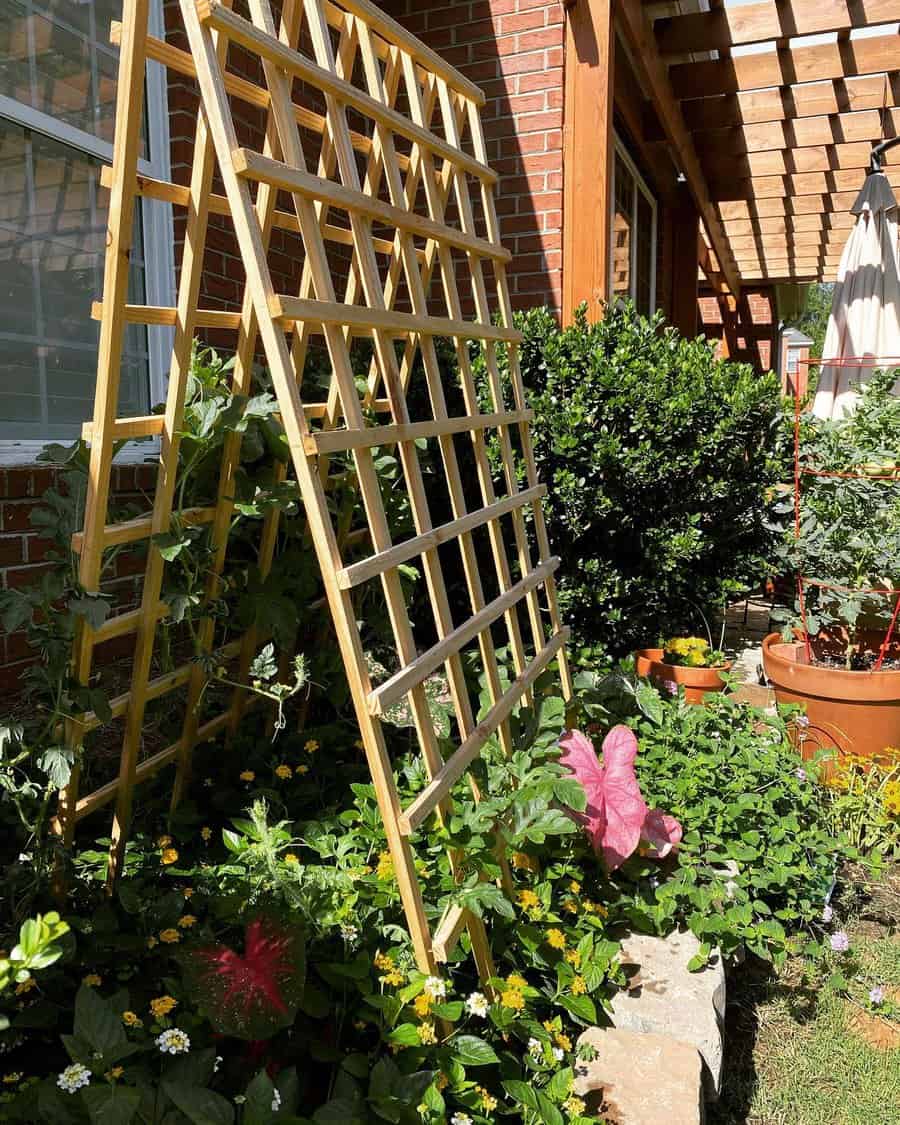 Wooden lattice trellis with flowering vines in garden