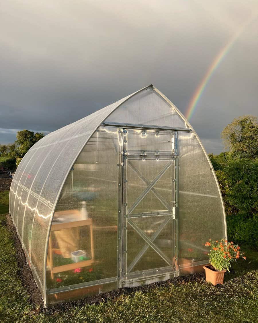 Polytunnel greenhouse with a rainbow in the background