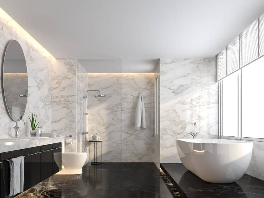 Luxurious black and white bathroom