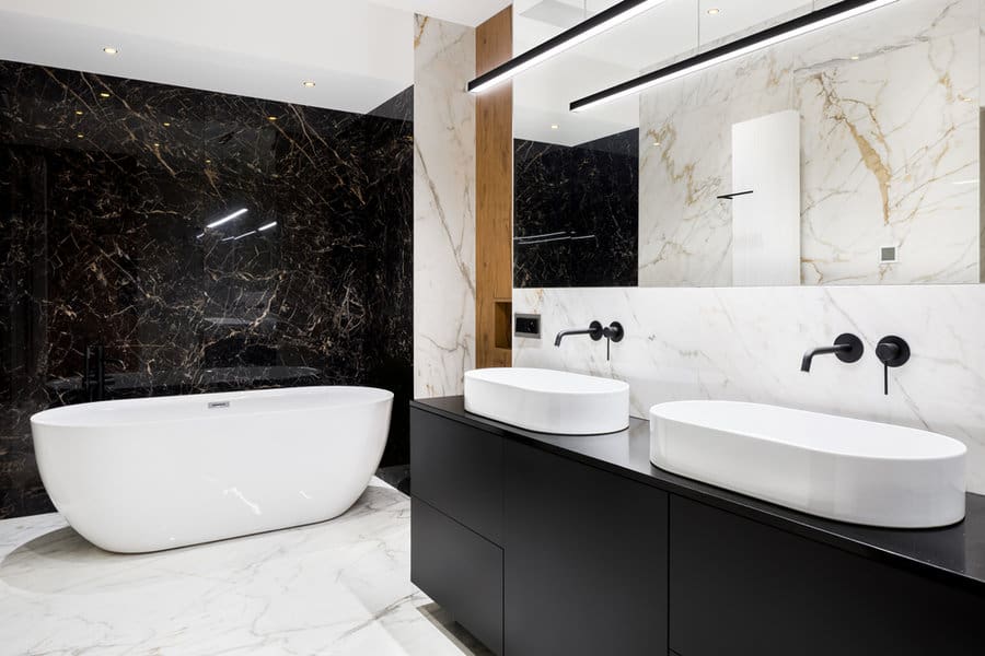 Luxurious black and white bathroom