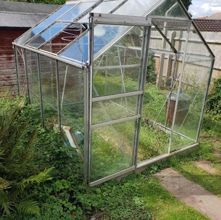 Small metal frame greenhouse in an overgrown garden