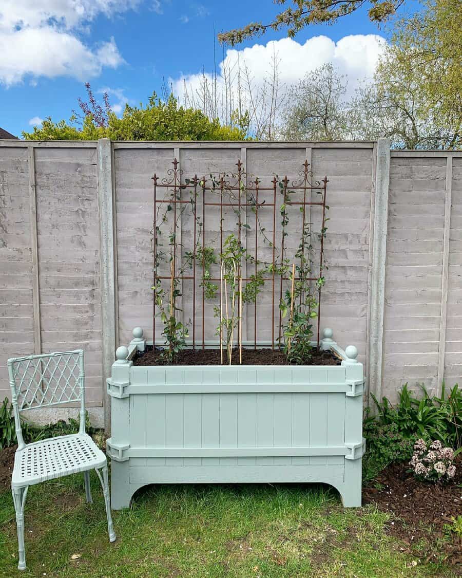 Trellis with climbing vines