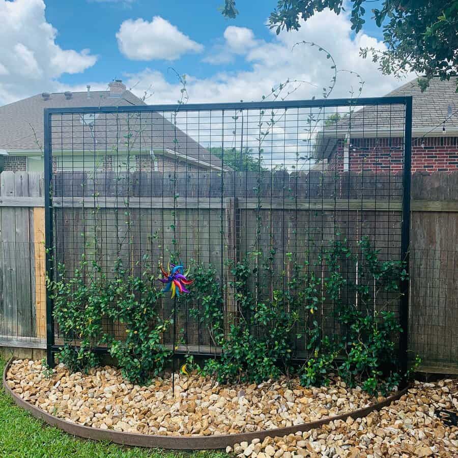 Copper trellis with climbing vines