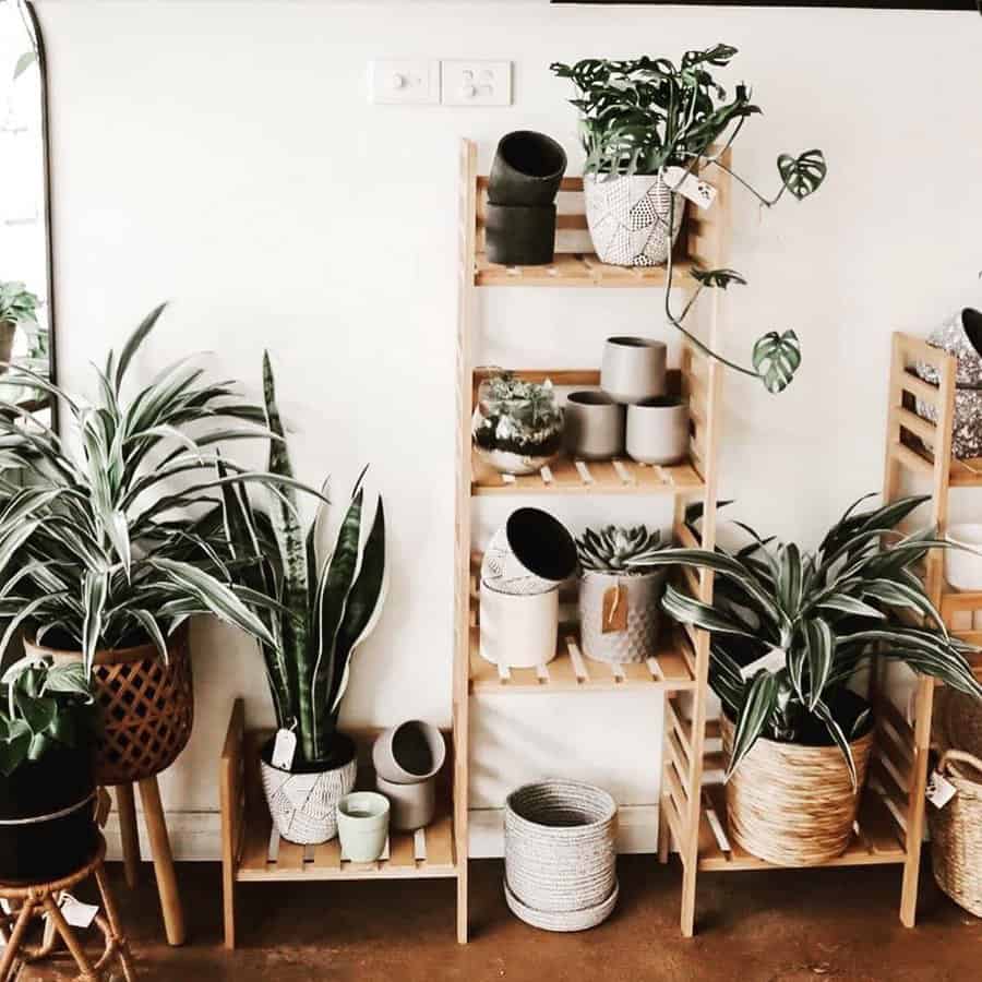 Plant Shelf Shelving Ideas merakicreationz