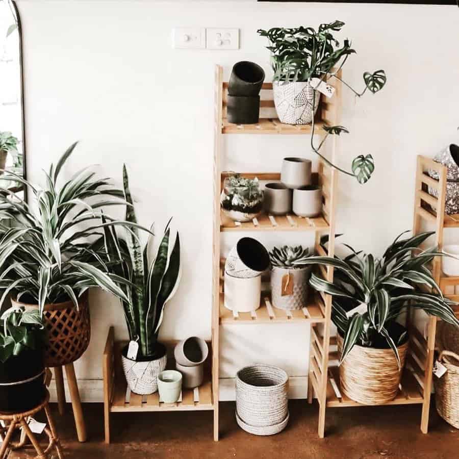 Indoor plant shelf