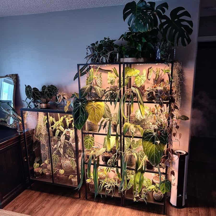 Indoor plant shelf