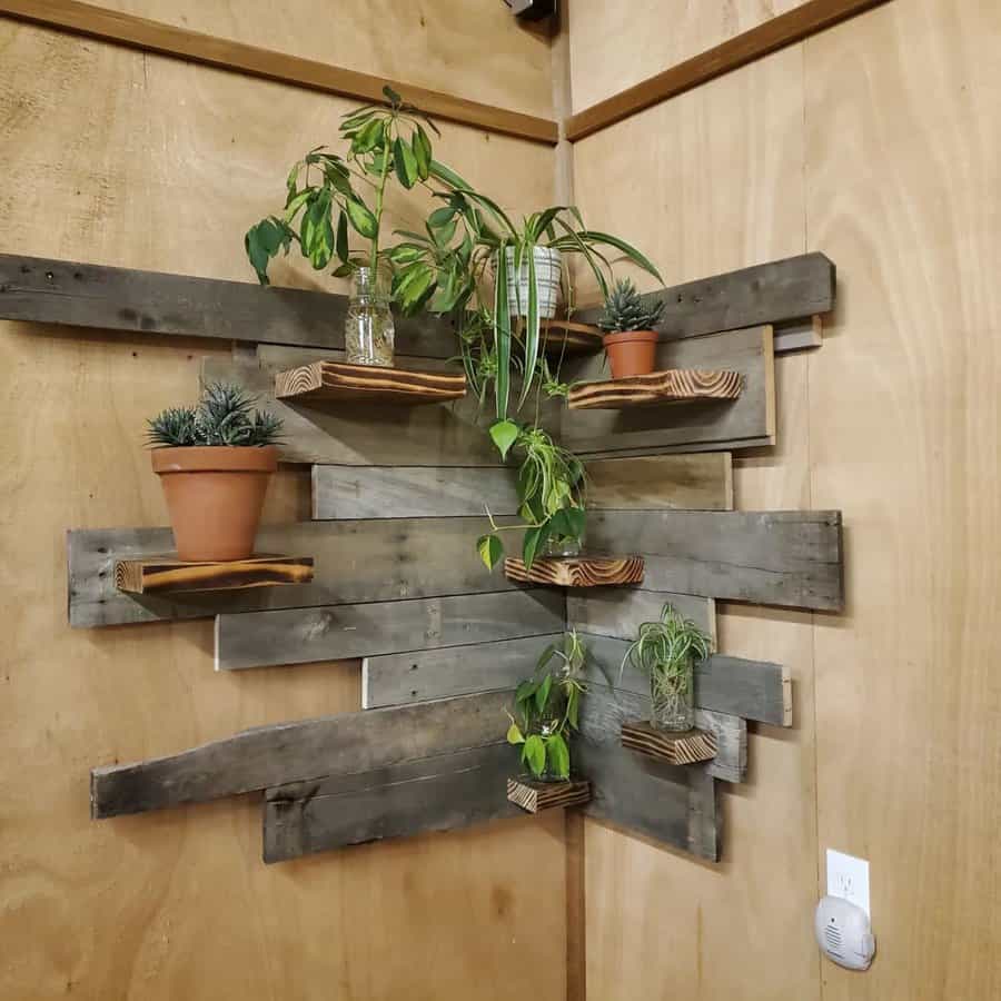 Plant wall shelf