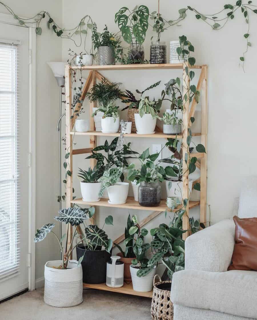 Indoor plant shelf