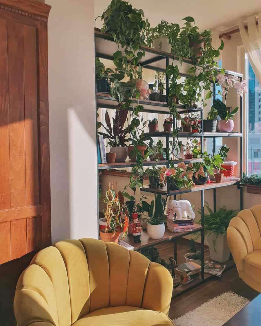 Indoor plant shelf