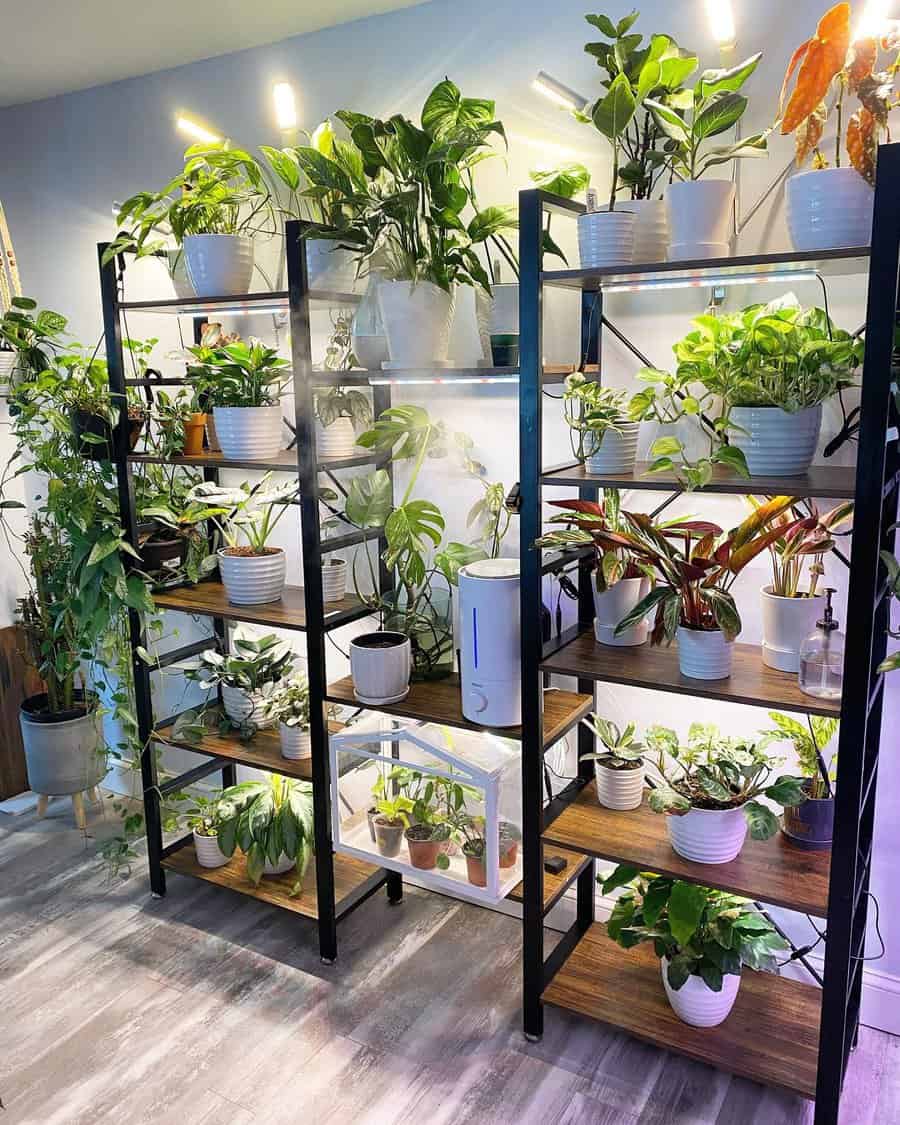 Indoor plant shelf