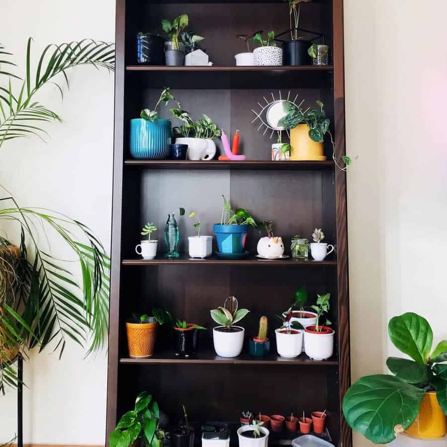 Indoor plant shelf