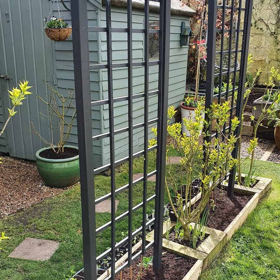 Vegetable garden with trellis support